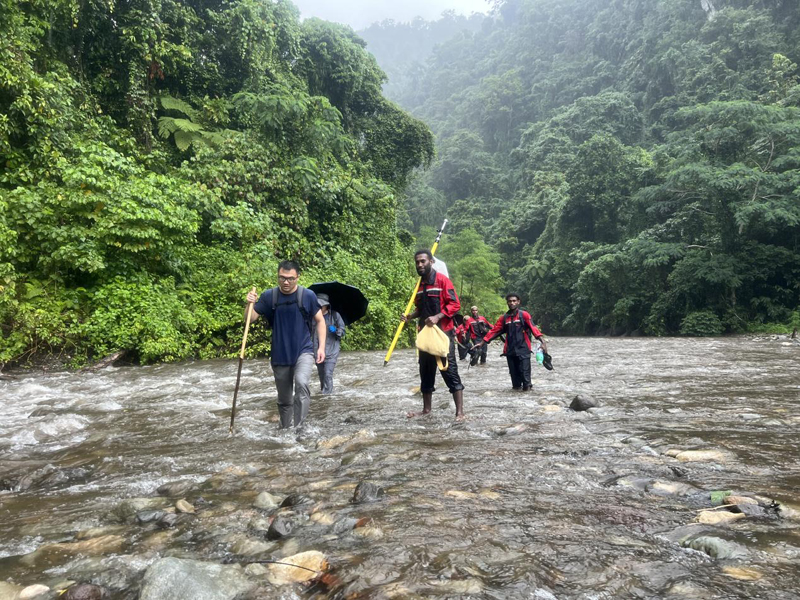 万水千山只等闲，践行六讲勇向前 ——所罗门金岭水电站项目勘测工作侧记