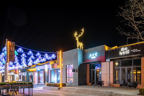 红蓝(中国区)股份有限公司